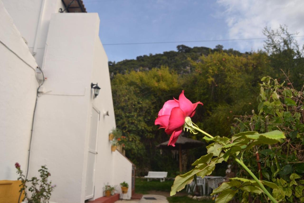 Villa Casa La Cascada El Bosque Exterior foto