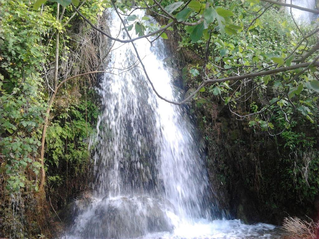 Villa Casa La Cascada El Bosque Exterior foto